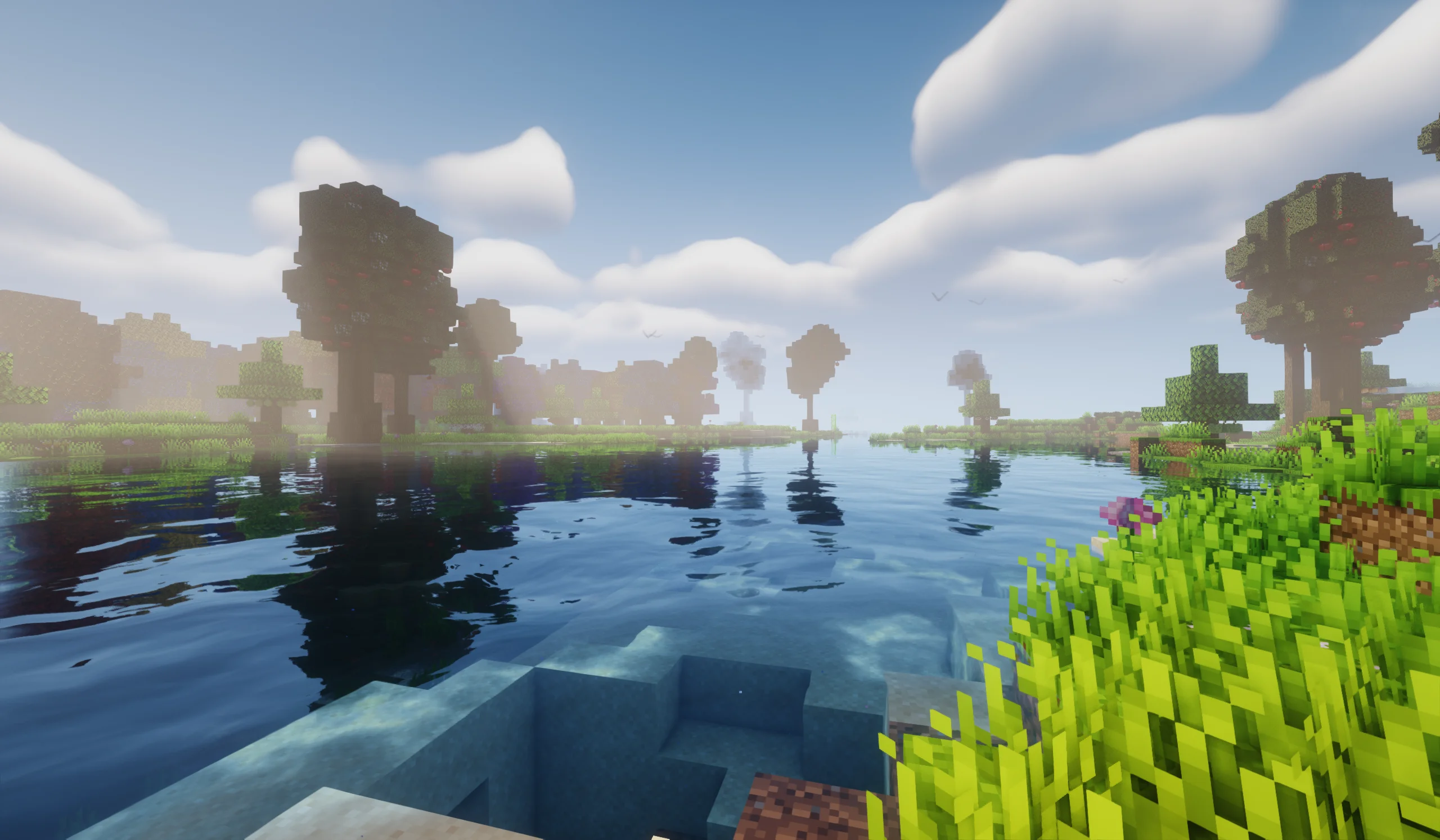 Cover Image of the Post